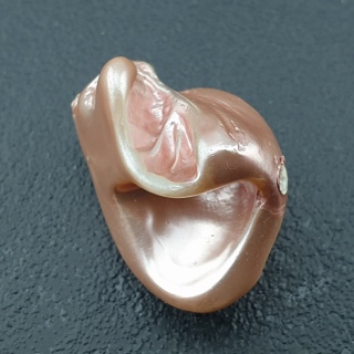 Seashell bryłka z dziurką 25x19 mm nr 134