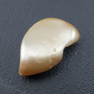 Seashell bryłka z dziurką 26x16 mm nr 196