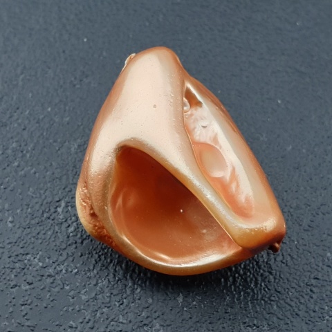 Seashell Nugget with Hole 28x21 mm no 157
