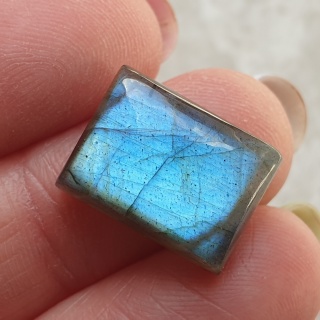 Labradoryt kaboszon 16x12 mm nr B967