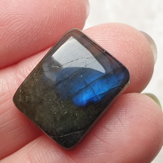 Labradoryt kaboszon 18x14 mm nr B804
