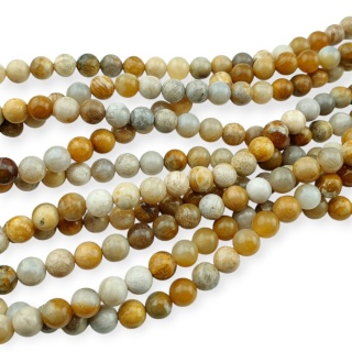 Fossil coral ball 6 mm strand