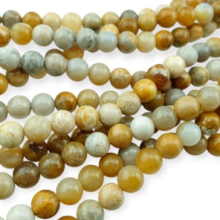 Fossil coral ball 6 mm strand