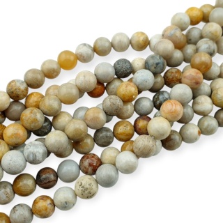 Fossil coral ball 8 mm strand