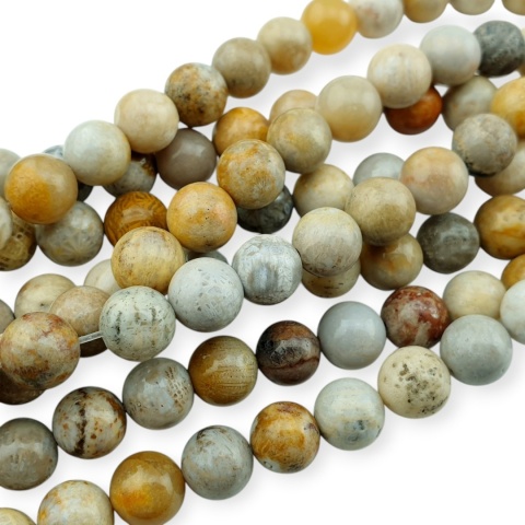 Fossil coral ball 8 mm strand