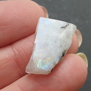 Kamień księżycowy kawałek polerowany 19x14 mm nr 464