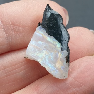 Kamień księżycowy kawałek polerowany 25x14 mm nr 485