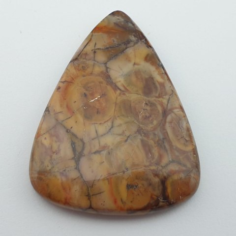 Jaspis ptasie oko kaboszon 4,2x3,2 cm nr 2