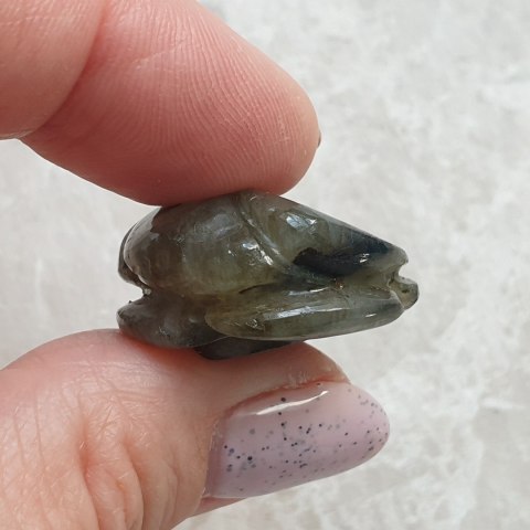 Labradoryt róża fi 26 mm nr 26