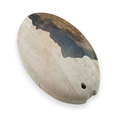 Skamieniałe drewno kaboszon z dziurką 33x21 mm nr 8