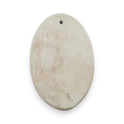 Skamieniałe drewno kaboszon z dziurką 34x22 mm nr 5