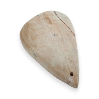 Skamieniałe drewno kaboszon z dziurką 37x24 mm nr 3