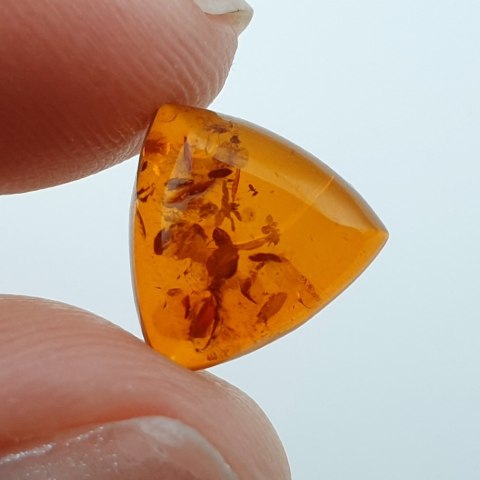 Bursztyn bałtycki kaboszon 10x10 mm nr A607
