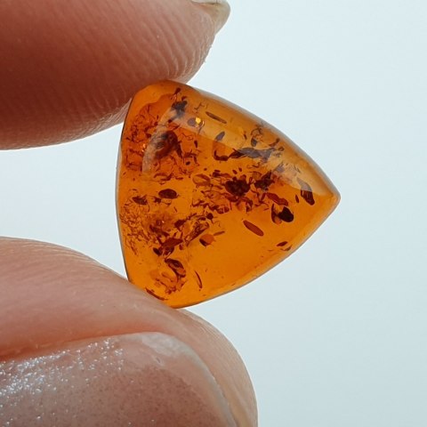 Bursztyn bałtycki kaboszon 10x10 mm nr A608