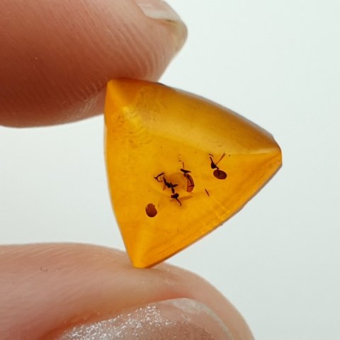 Bursztyn bałtycki kaboszon 11x11 mm nr A614