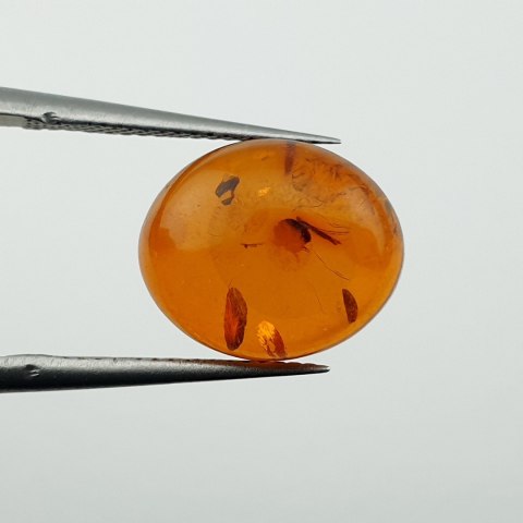 Bursztyn bałtycki kaboszon 12x10 mm nr A670