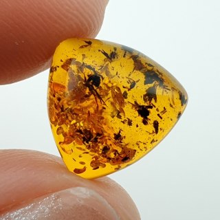 Bursztyn bałtycki kaboszon 12x12 mm nr A558
