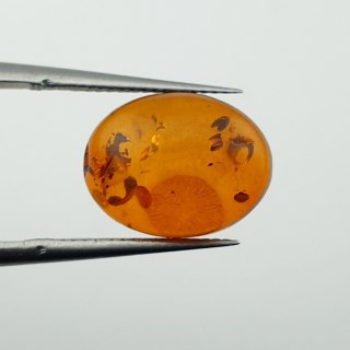 Bursztyn bałtycki kaboszon 13x10 mm nr A672