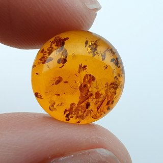 Bursztyn bałtycki kaboszon fi 13 mm nr A518