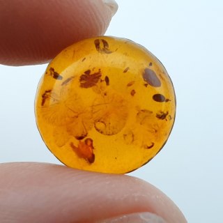Bursztyn bałtycki kaboszon fi 13 mm nr A521