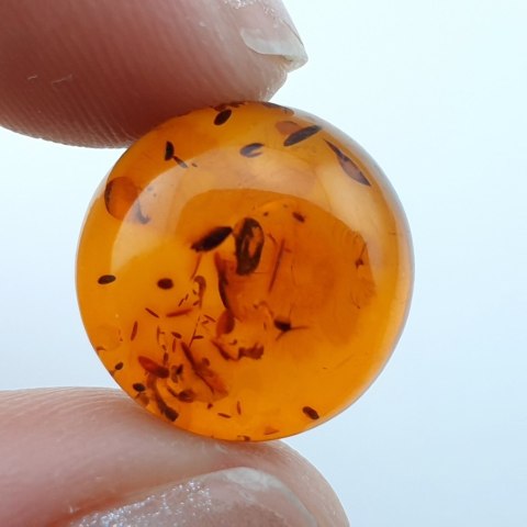 Bursztyn bałtycki kaboszon fi 14 mm nr A488