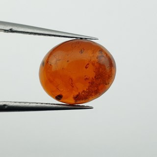 Bursztyn bałtycki kaboszon 12x10 mm nr A875