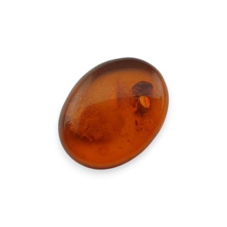 Bursztyn bałtycki kaboszon 13x10 mm nr A682