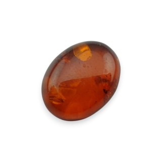 Bursztyn bałtycki kaboszon 13x10 mm nr A843
