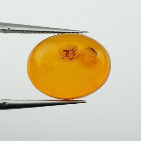 Bursztyn bałtycki kaboszon 14x11 mm nr A679