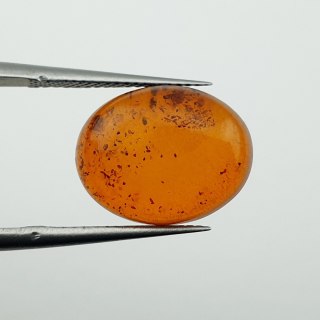 Bursztyn bałtycki kaboszon 14x11 mm nr A824