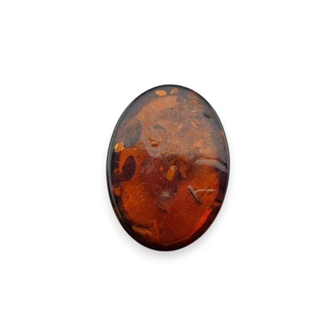 Bursztyn bałtycki kaboszon 17x12 mm nr A701