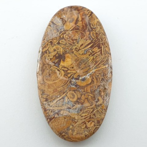 Jaspis Mariam kaboszon 4,9x2,5 cm nr 12