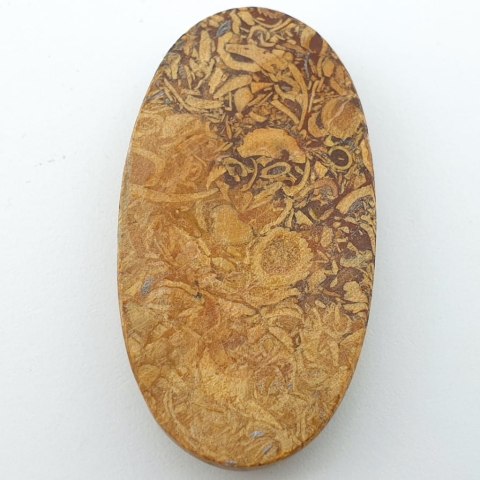 Jaspis Mariam kaboszon 5,1x2,7 cm nr 4