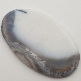Opal dendrytowy kaboszon 4,3x2,6 cm nr 48