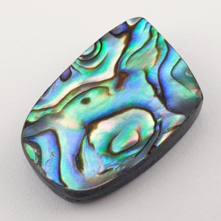 Paua Abalone kaboszon 2,8x1,9 cm nr 86