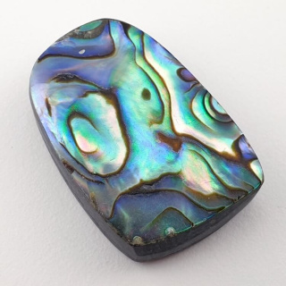 Paua Abalone kaboszon 2,8x1,9 cm nr 86