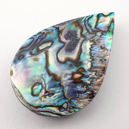 Paua Abalone kaboszon 3,0x2,0 cm nr 79