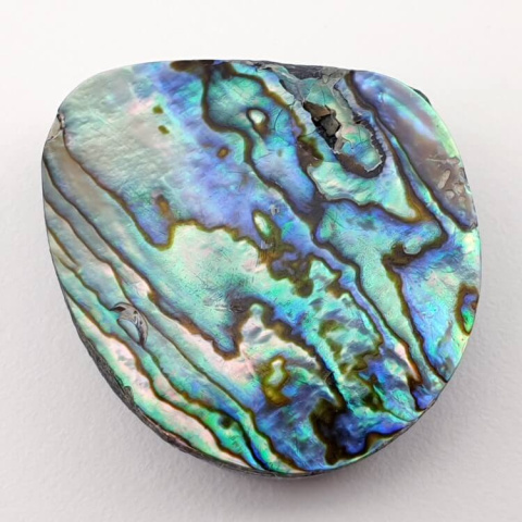 Paua Abalone kaboszon 3,0x2,7 cm nr 78