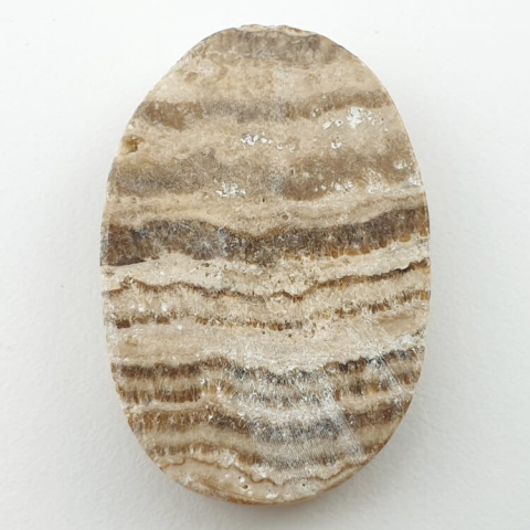 Aragonit kaboszon 35x23 mm nr 45