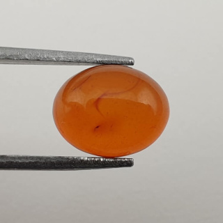 Bursztyn bałtycki kaboszon 10x8 mm nr 519