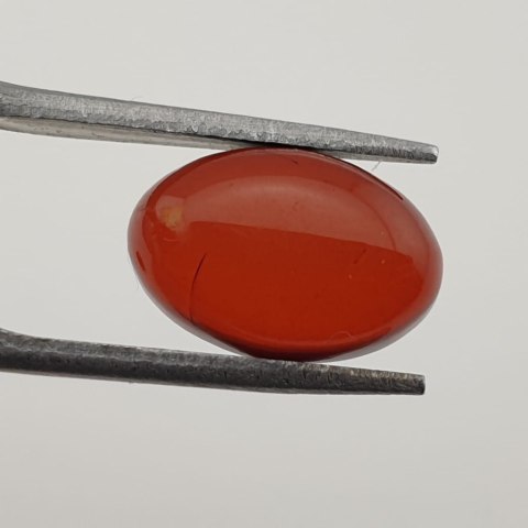 Bursztyn bałtycki para kaboszonów 12x8 mm nr 106