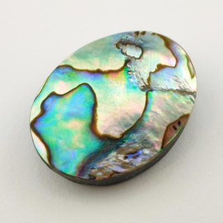 Paua abalone kaboszon 30x23 mm nr 131