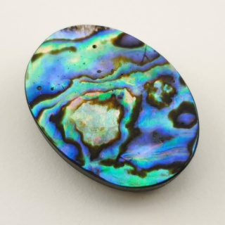 Paua abalone kaboszon 32x24 mm nr 127