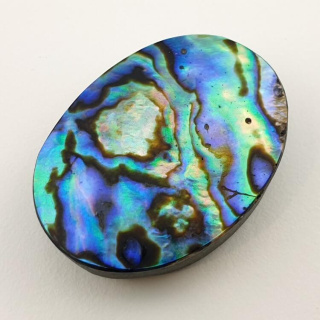 Paua abalone kaboszon 32x24 mm nr 127