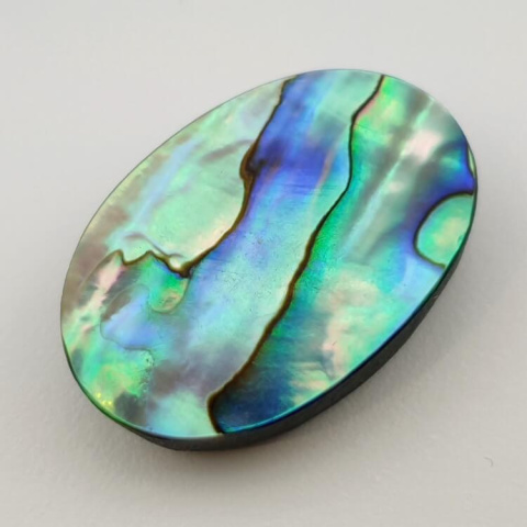 Paua abalone kaboszon 34x23 mm nr 122