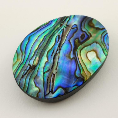 Paua abalone kaboszon 34x25 mm nr 126