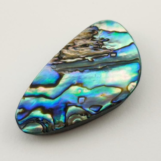 Paua abalone kaboszon 35x20 mm nr 130