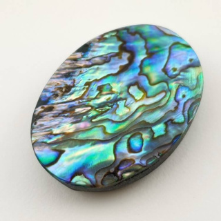 Paua abalone kaboszon 35x25 mm nr 121