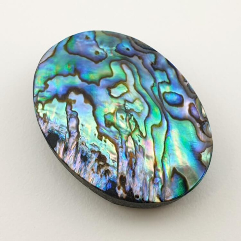 Paua abalone kaboszon 35x25 mm nr 121