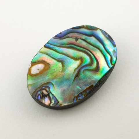 Paua abalone kaboszon 23x16 mm nr 177